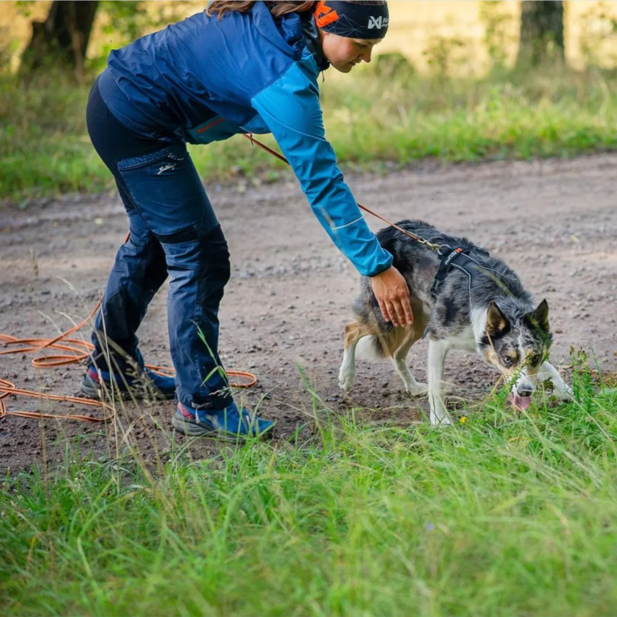 Non-stop Line Harness 5.0 – allsidig hundesele til tur og spor - Image 3