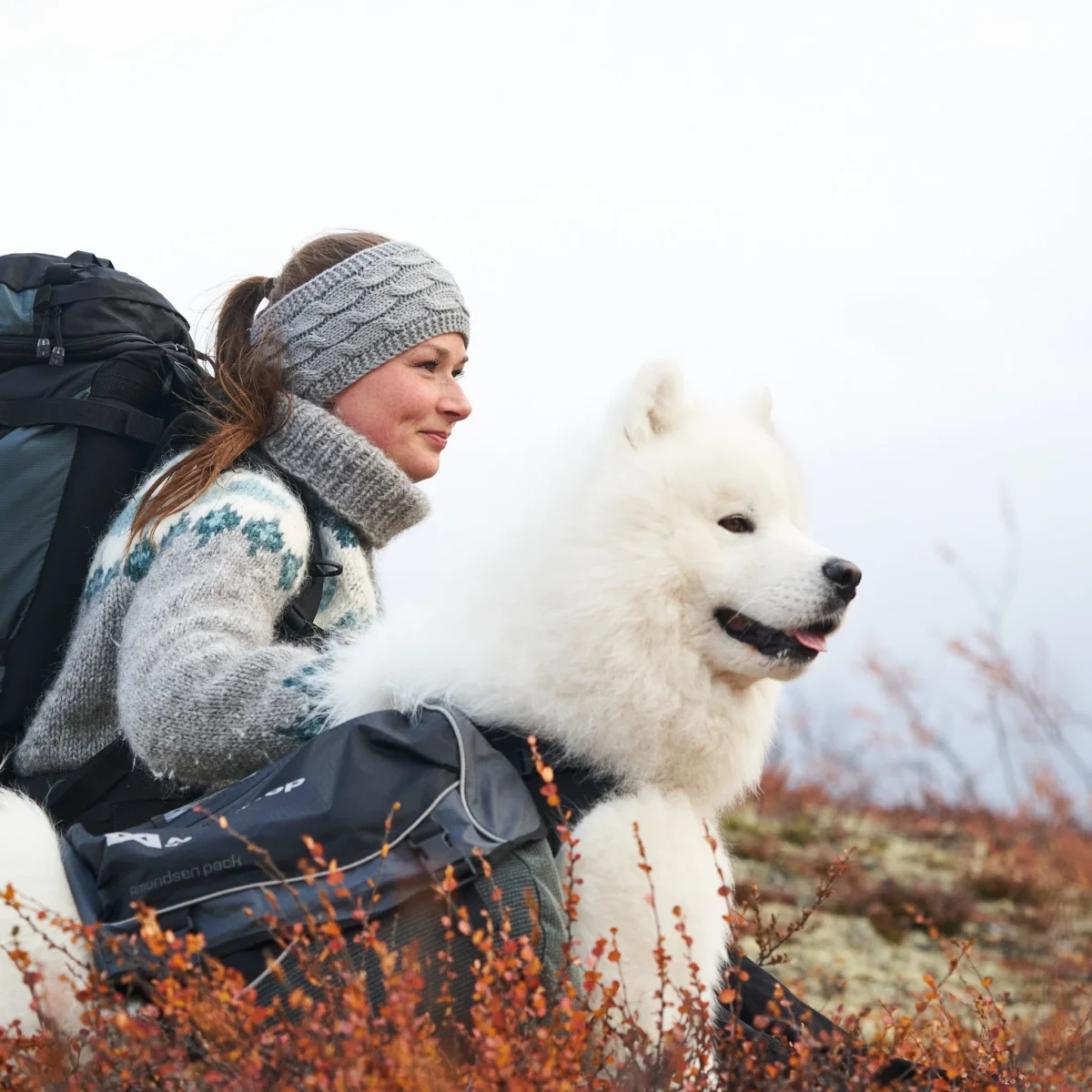 Non-stop Dogwear Amundsen kløv til hund - Image 7