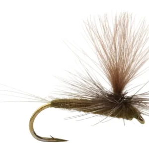 Baetis Dark Brown/Olive