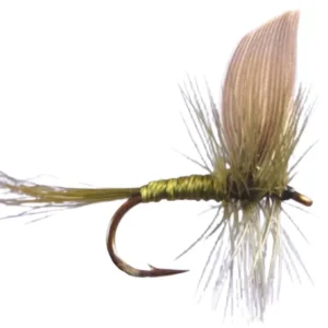 Blue Wing Olive