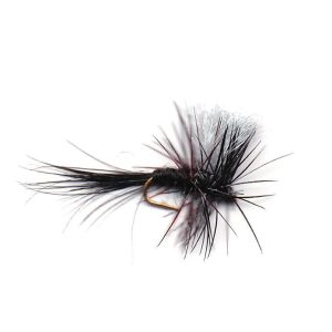Boname Micro Trico