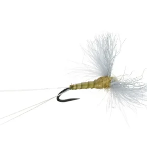 CDC BIOT SPINNER YELLOW