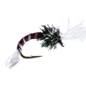 Claret Buzzer
