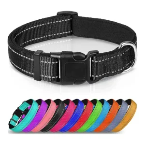 Hundehalsbånd med refleks – polstret nylon