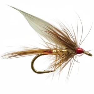 Wickhams fancy DH